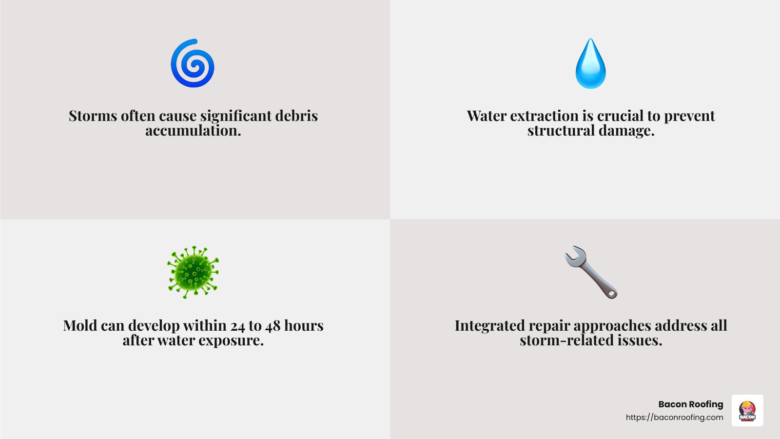The importance of timely storm damage repair - storm damage repair services infographic 4_facts_emoji_grey