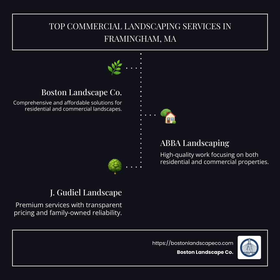 Infographic showing top 3 commercial landscaping services in Framingham with ratings and pricing - Commercial Landscaper Framingham Massachusetts infographic infographic-line-3-steps-dark