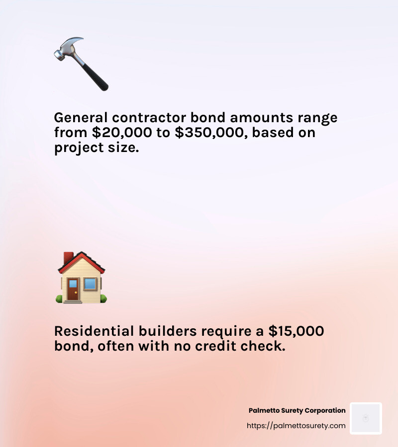 Example of bond pricing - how much is the surety bond for south carolina license infographic 2_facts_emoji_light-gradient