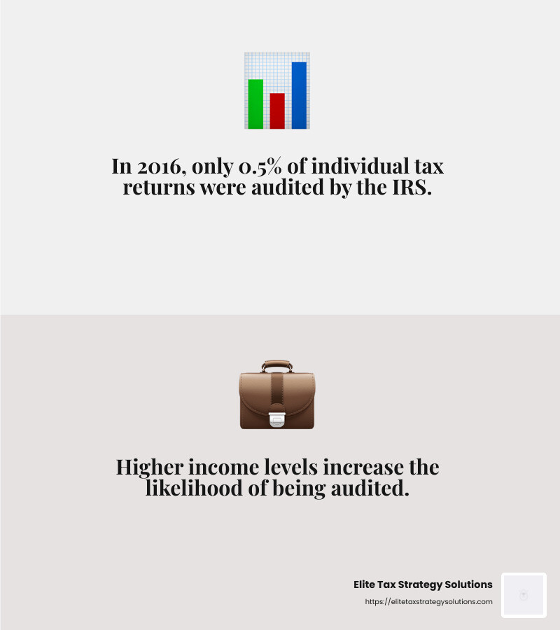 Stat: Only 0.5% of returns were audited in 2016 - tax audit preparation infographic 2_facts_emoji_grey