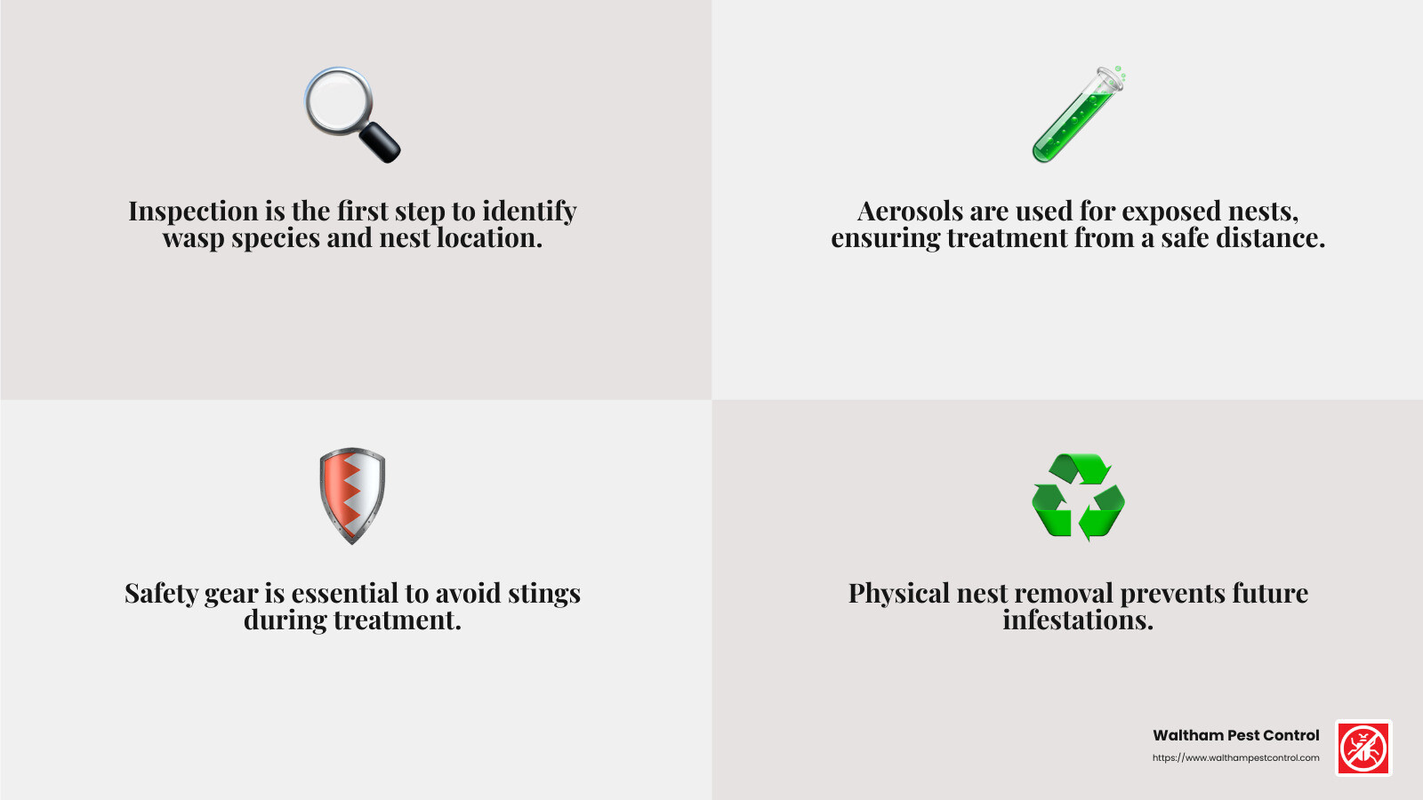 Wasp treatment methods infographic - Wasp nest removal Boxford infographic 4_facts_emoji_grey