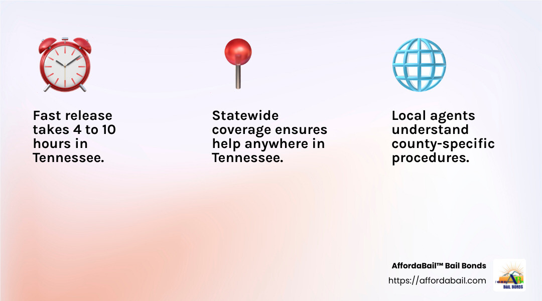Quick Release Assistance in Tennessee - 24/7 bail service infographic 3_facts_emoji_light-gradient