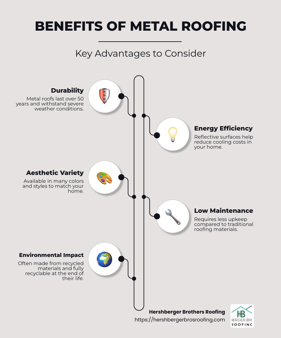 Benefits of metal roofing installation in Ohio - metal roofing installers in ohio infographic infographic-line-5-steps-neat_beige