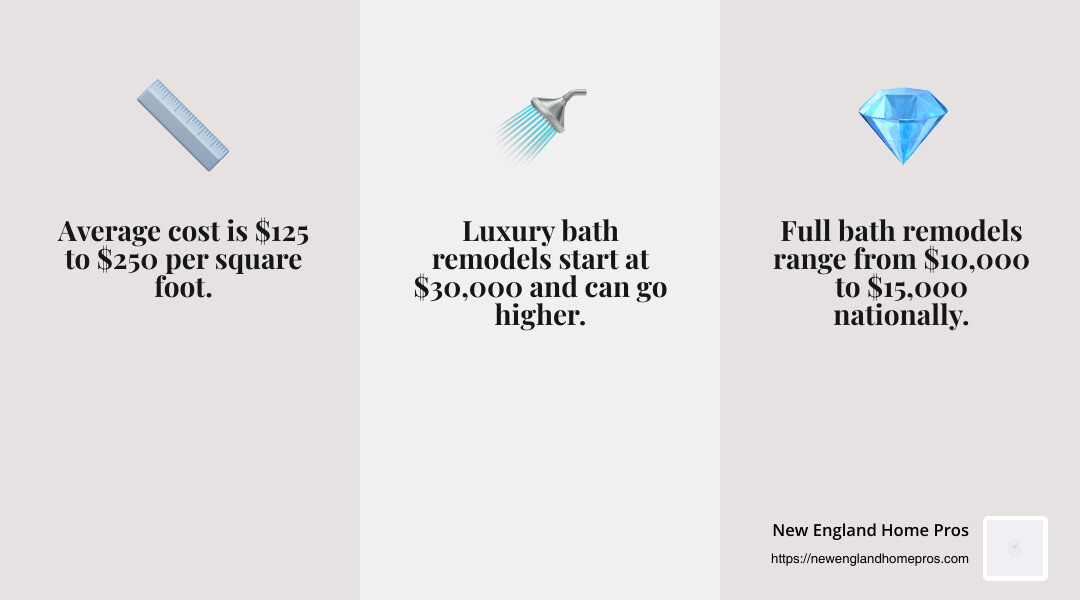 bathroom remodeling costs infographic - bath remodeling nashua nh infographic 3_facts_emoji_grey