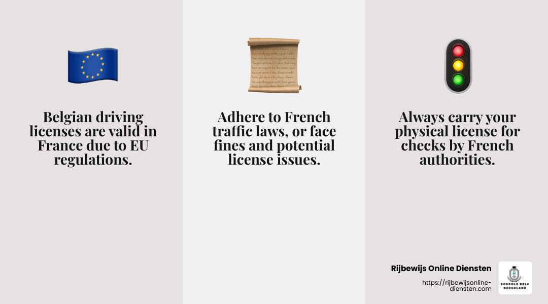 European Union regulations ensure mutual recognition of driving licenses across member states. - belgisch rijbewijs ingetrokken in frankrijk infographic 3_facts_emoji_grey