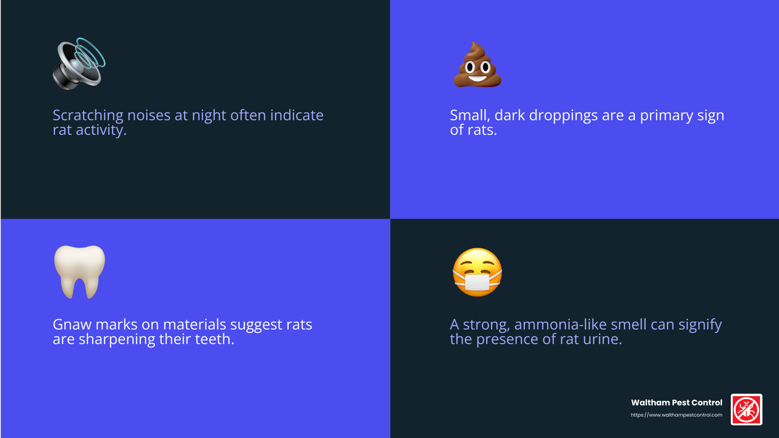 Signs of Rats Infographic - rats in loft infographic 4_facts_emoji_blue