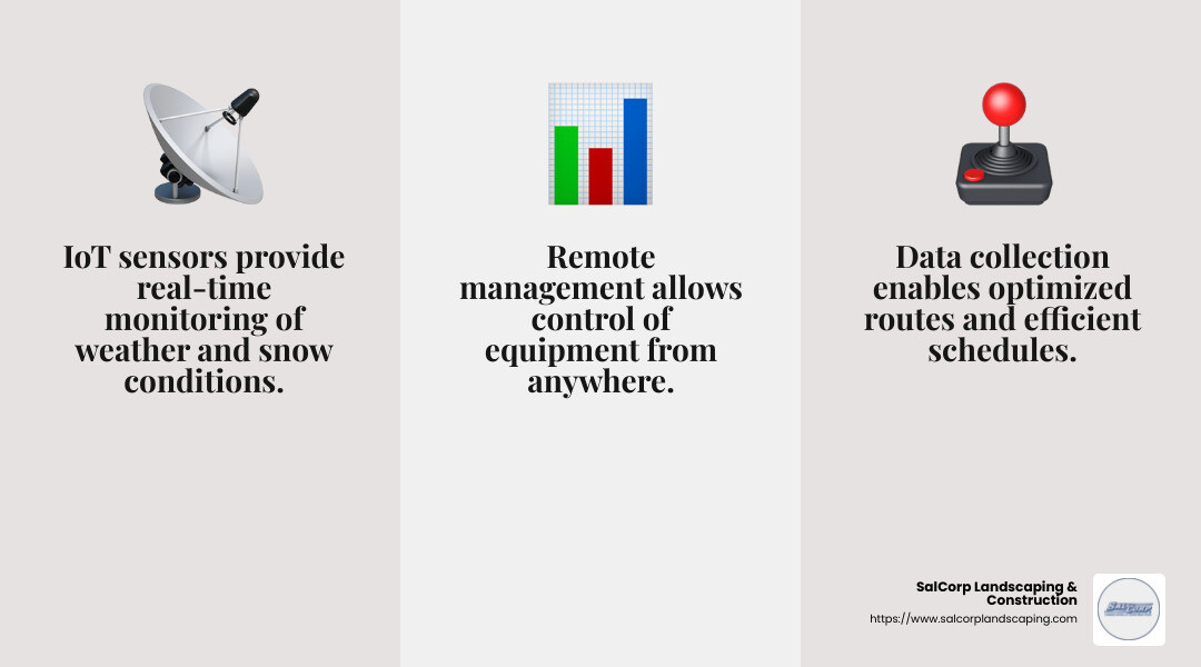 IoT in Snow Management - snow and ice management infographic 3_facts_emoji_grey