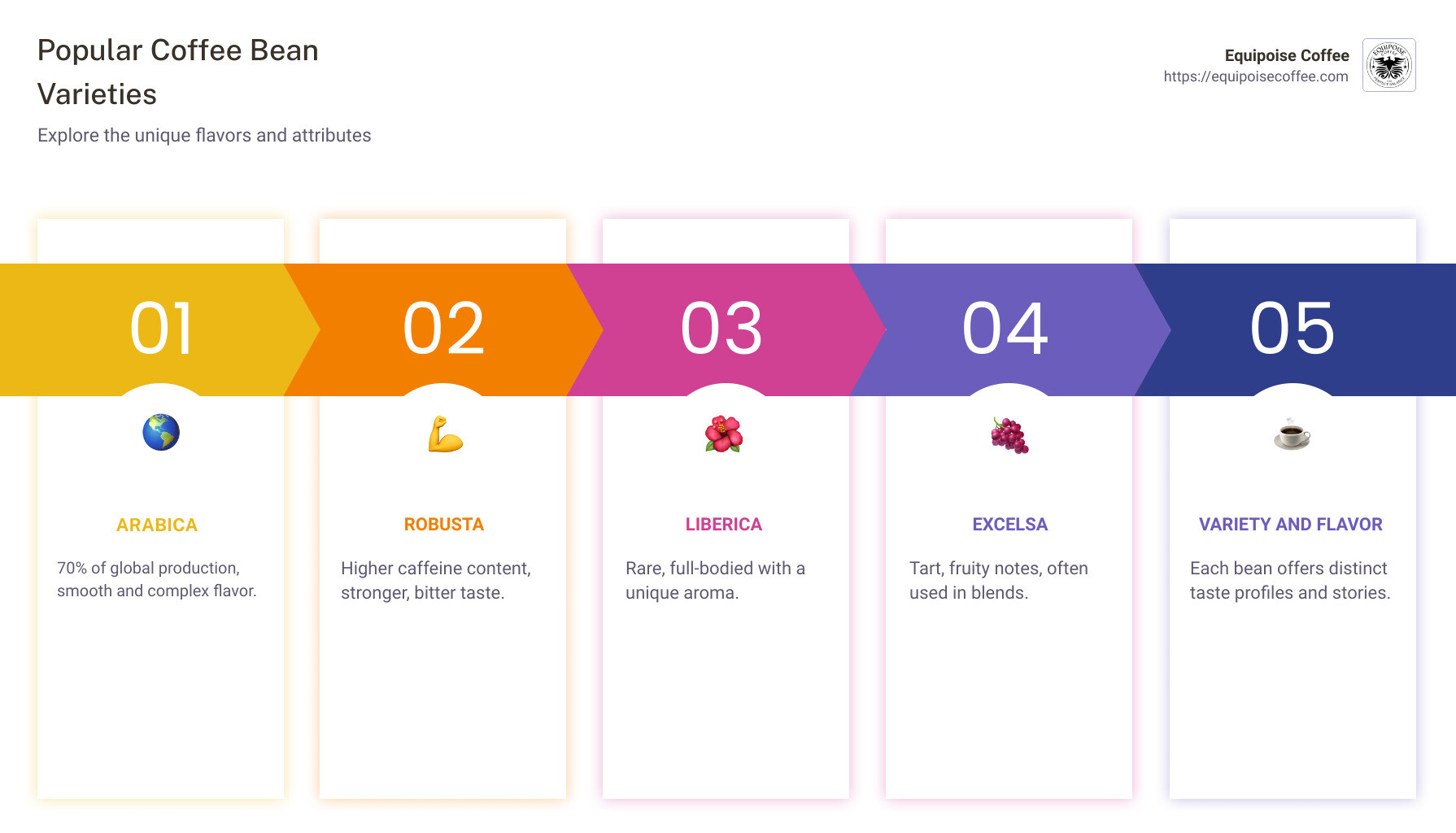 Infographic showing the popularity and flavor profiles of common coffee bean varieties: Arabica, Robusta, Liberica, and Excelsa - most common variety of coffee bean infographic pillar-5-steps