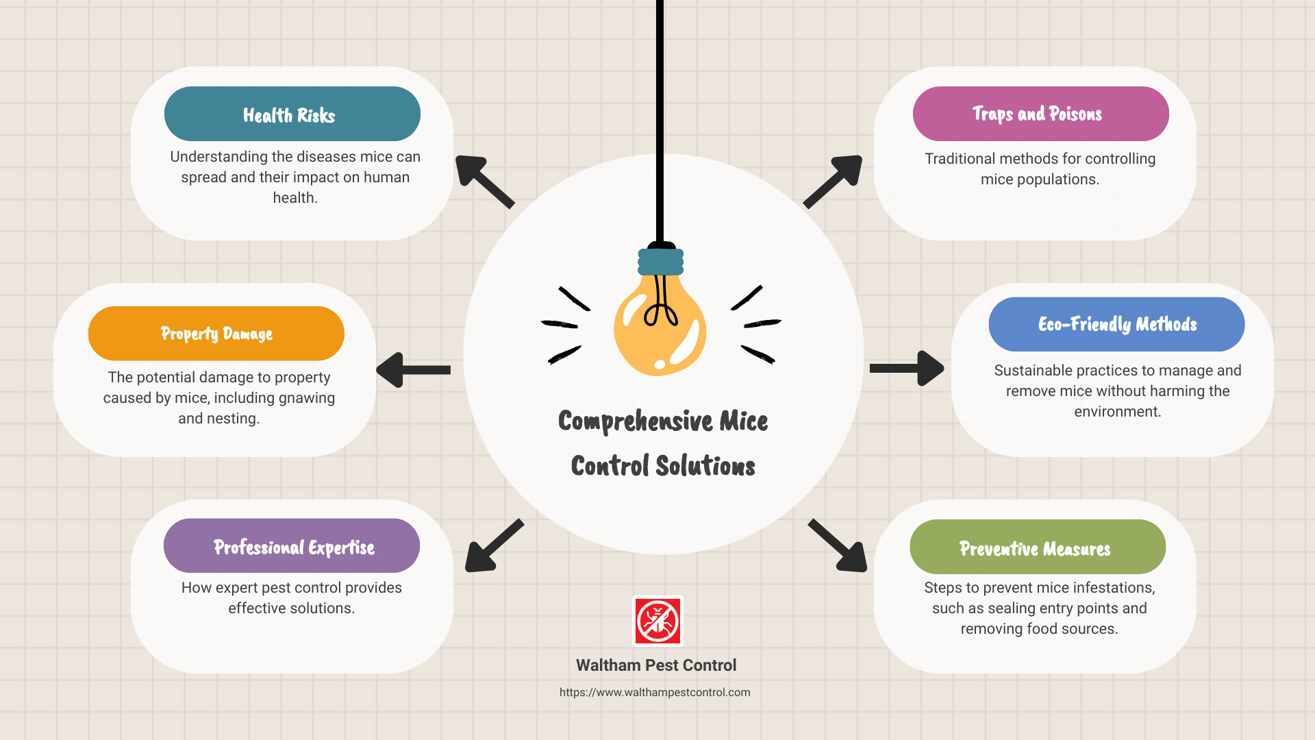 Overview of Mice Control Solutions - mice control companies near me infographic brainstorm-6-items