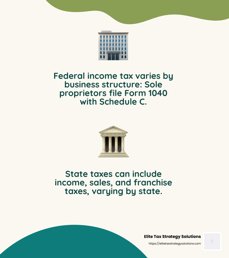 Understanding the different types of taxes small businesses face - small business tax strategies infographic 2_facts_emoji_nature