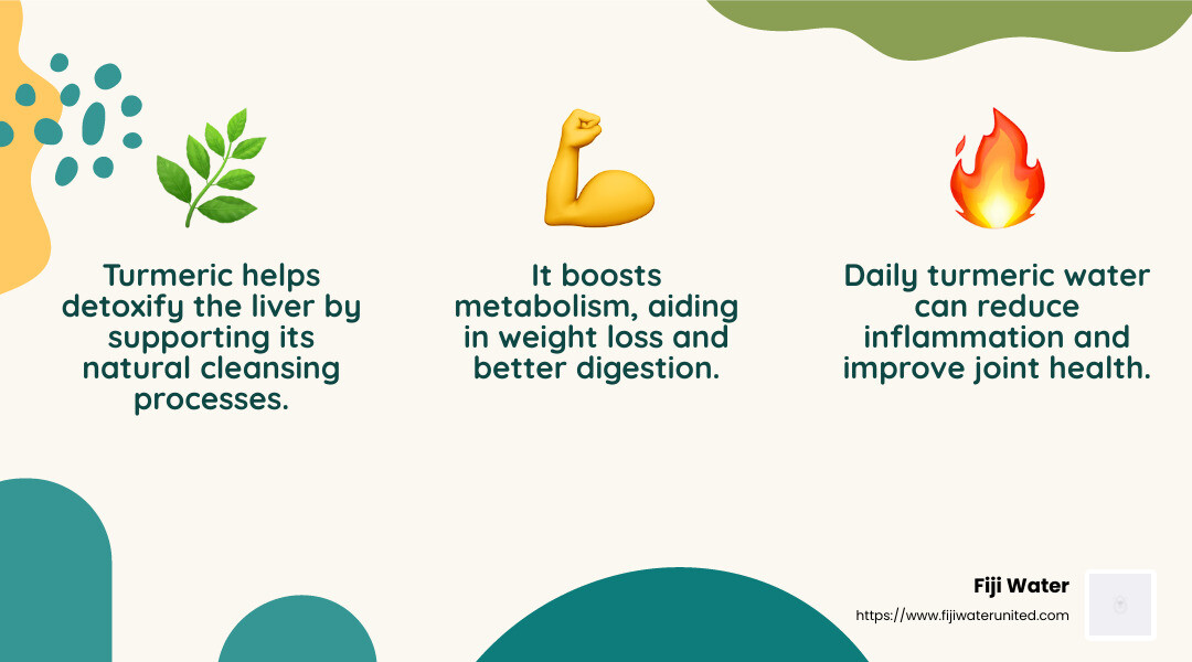 Turmeric Water Benefits - Detox water with turmeric infographic 3_facts_emoji_nature