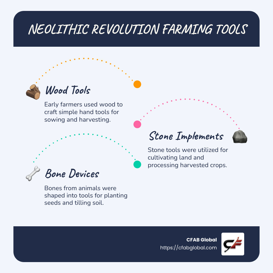 Infographic of simple tools from the Neolithic Revolution: images of wood, stone, and bone tools used for farming, with annotations explaining their uses - antique agricultural equipment infographic infographic-line-3-steps-blues-accent_colors