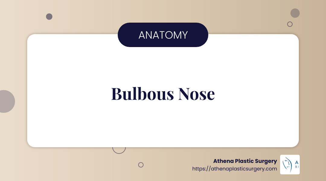 Understanding the anatomy of a bulbous nose with labeled parts such as cartilage, thick skin, and nasal tip - bulbous nose job infographic simple-info-landscape-card