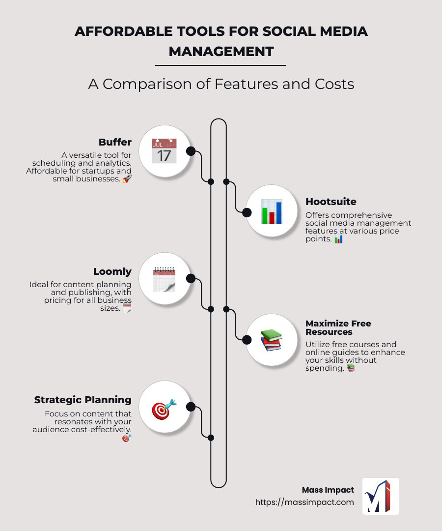 Infographic showcasing affordable tools for social media management with emphasis on Buffer, Hootsuite, and Loomly, including visual elements like charts comparing costs and features - Affordable social media management infographic infographic-line-5-steps-neat_beige