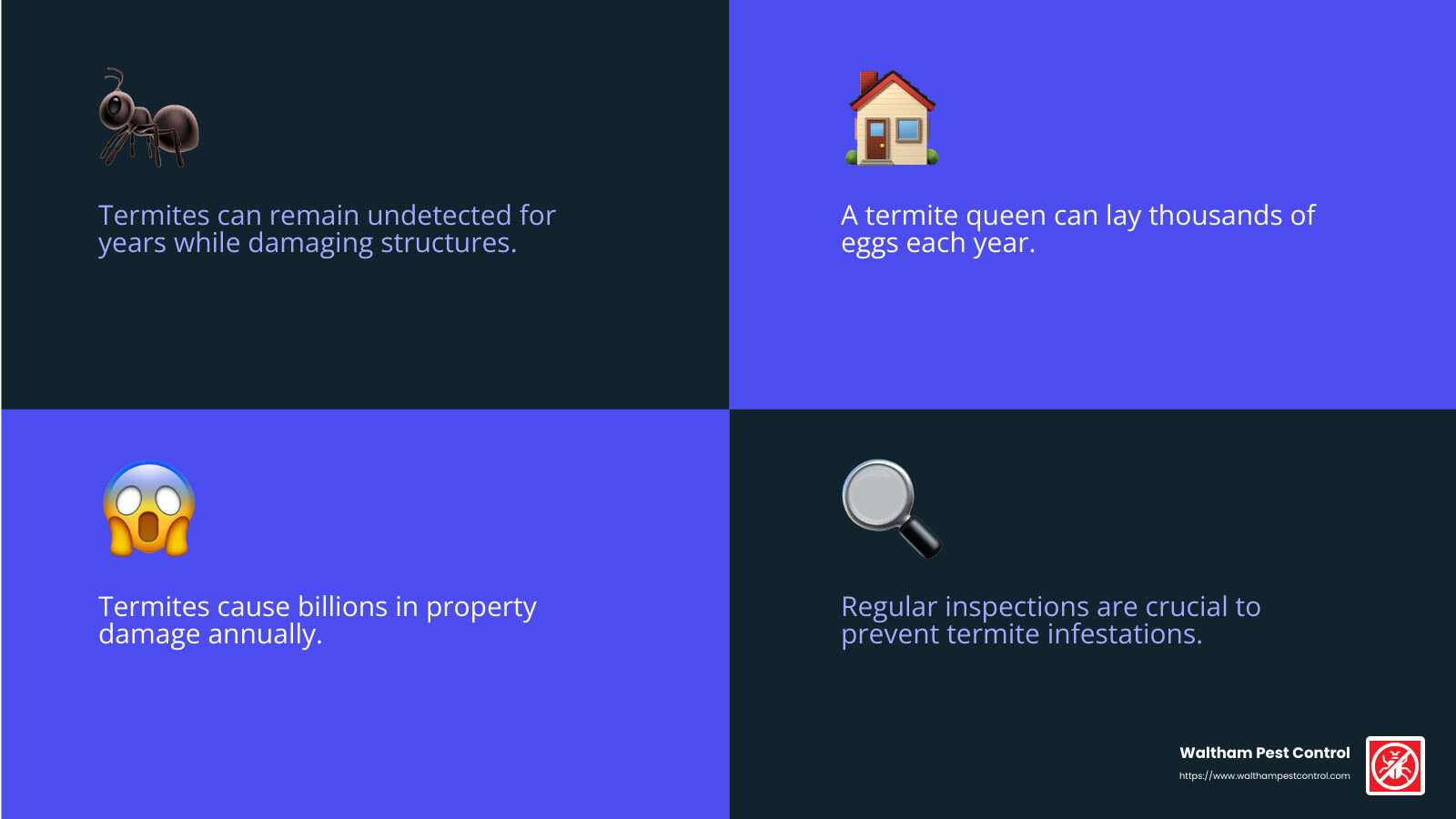 Termites can cause significant structural damage if left unchecked. - Home pest control solutions infographic 4_facts_emoji_blue