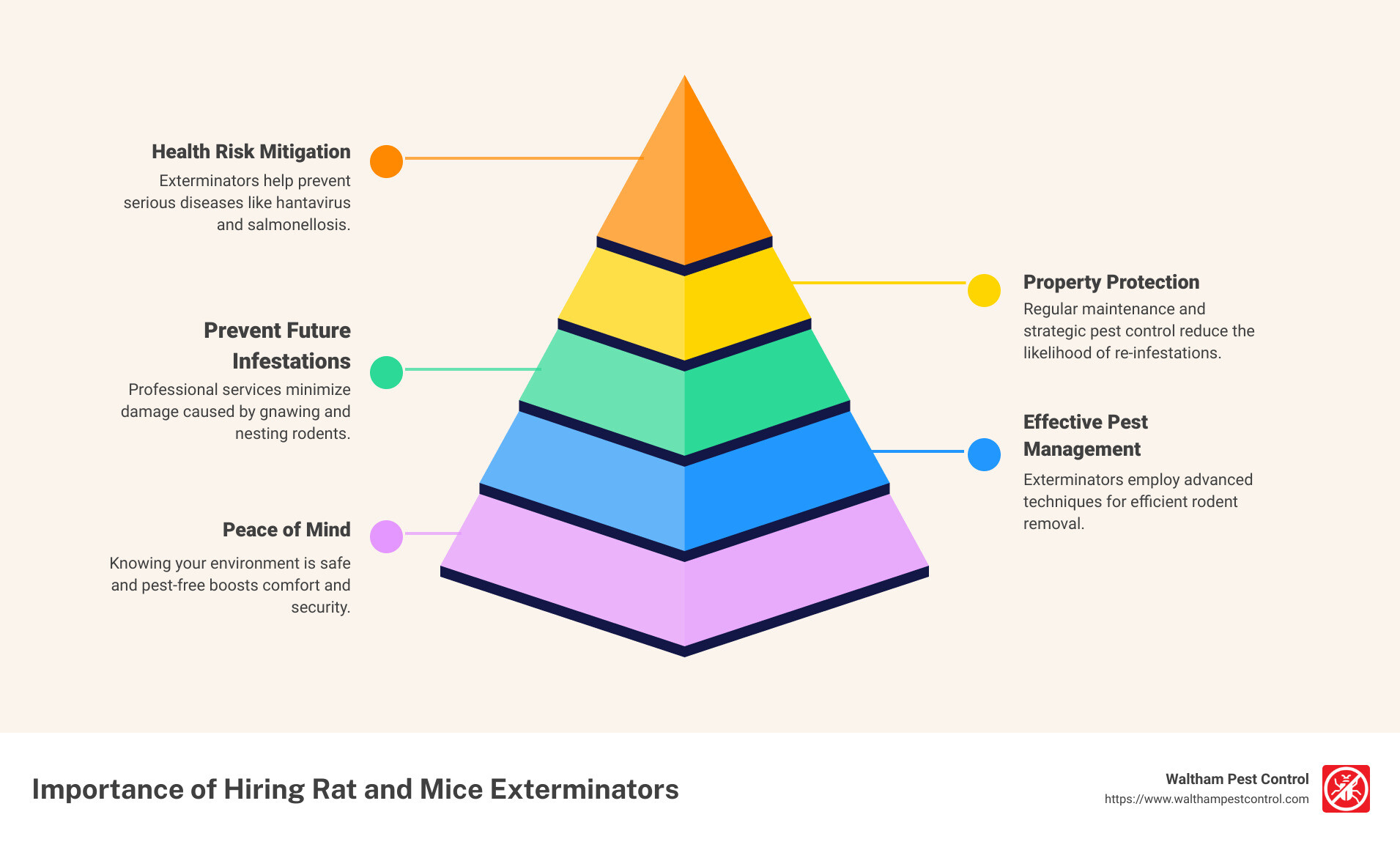 infographic showing the importance of hiring rat and mice exterminators near me for health and safety reasons including disease prevention and property protection - rat and mice exterminators near me infographic pyramid-hierarchy-5-steps