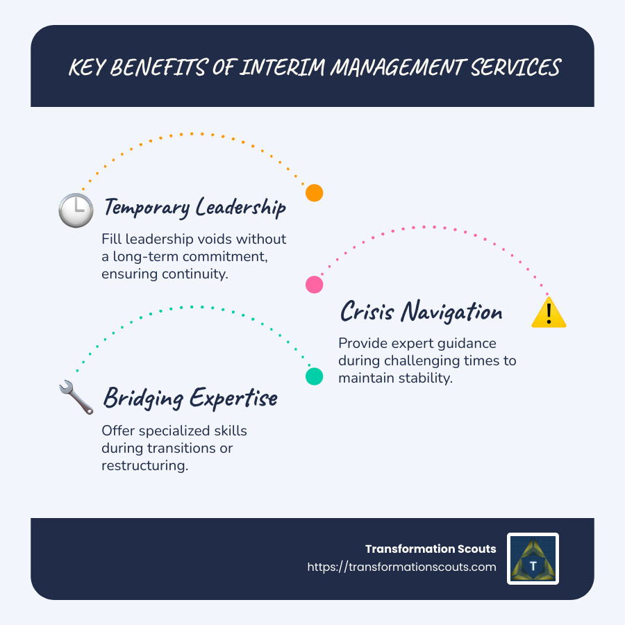 How Interim Management Services Help - interim management services infographic infographic-line-3-steps-blues-accent_colors How Interim Management Services Help - interim management services infographic infographic-line-3-steps-blues-accent_colors