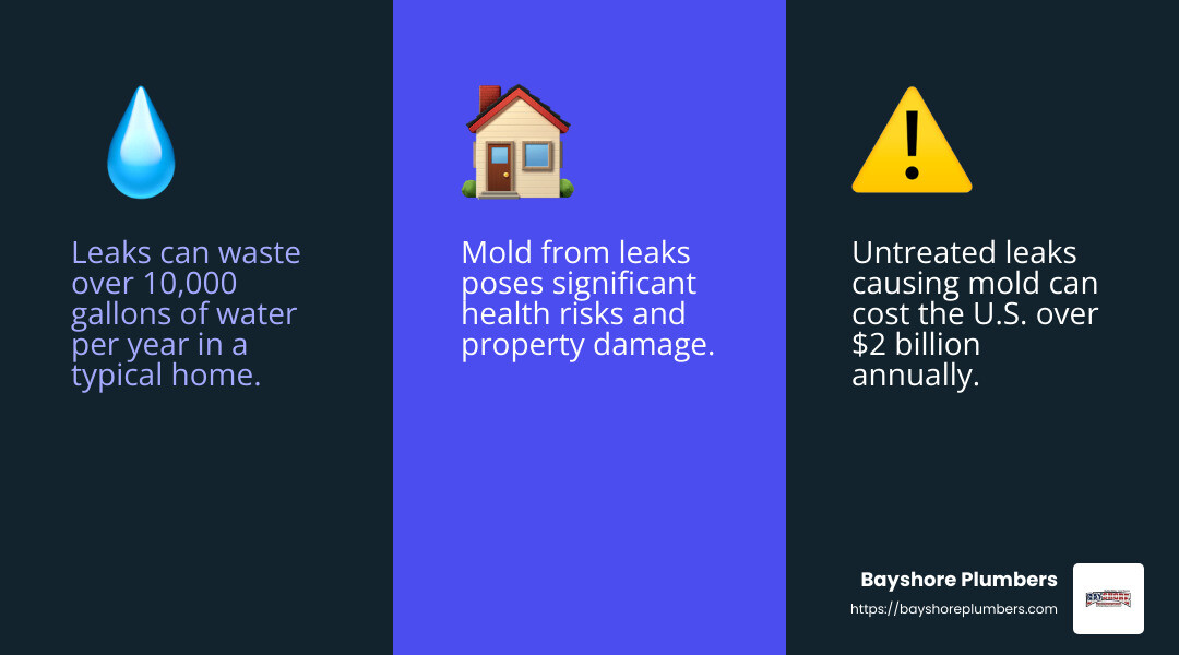 Mold growth due to water leaks can lead to significant health problems and property damage. - expert leak detection services infographic 3_facts_emoji_blue