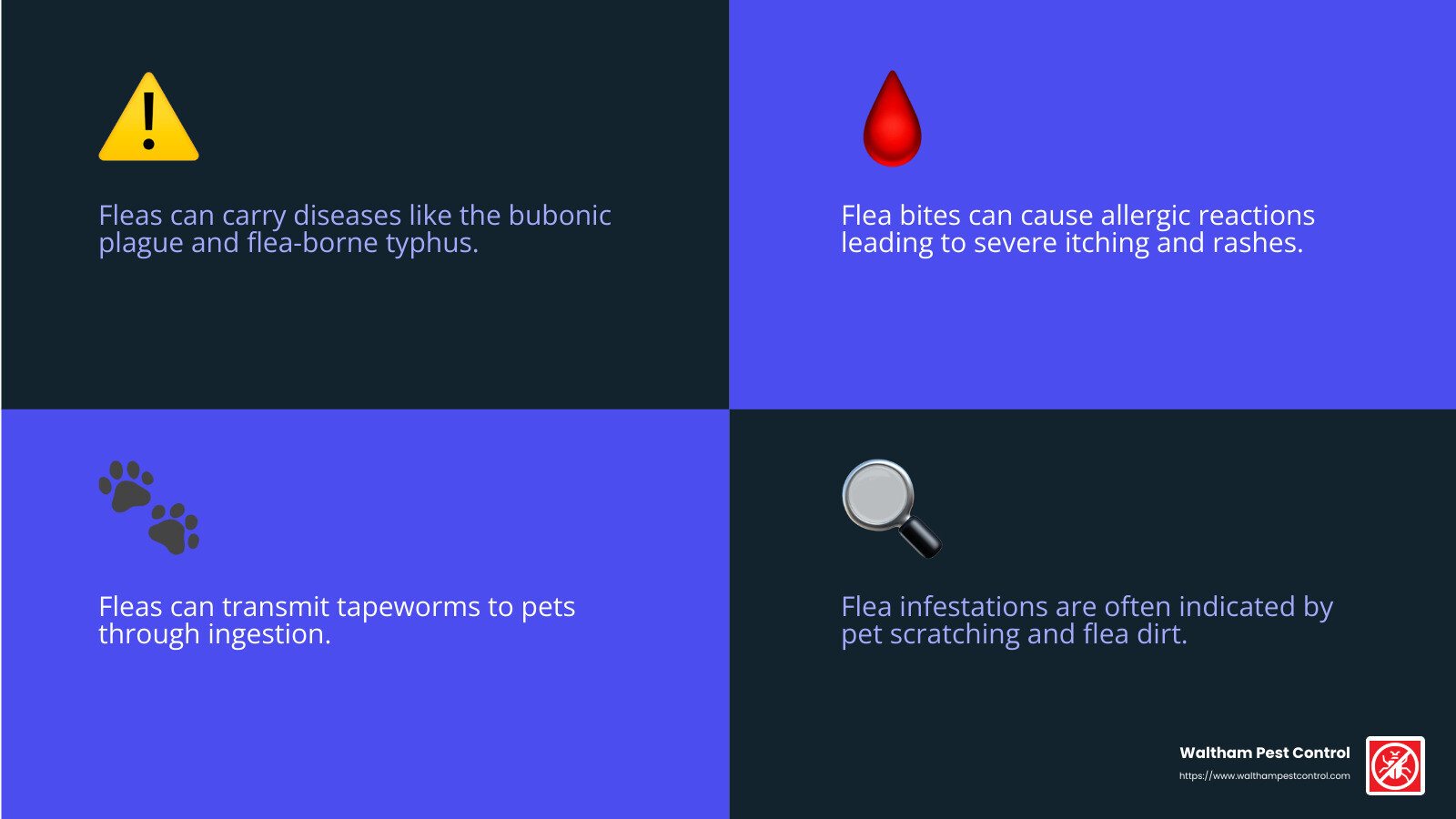 Flea health risks infographic - flea exterminator near me infographic 4_facts_emoji_blue Flea health risks infographic - flea exterminator near me infographic 4_facts_emoji_blue