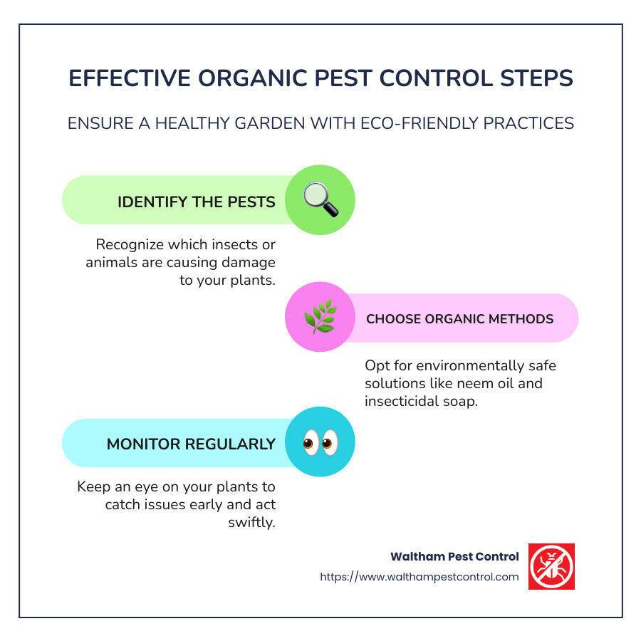 Infographic on common organic pest control methods - Pest control for gardens infographic infographic-line-3-steps-colors