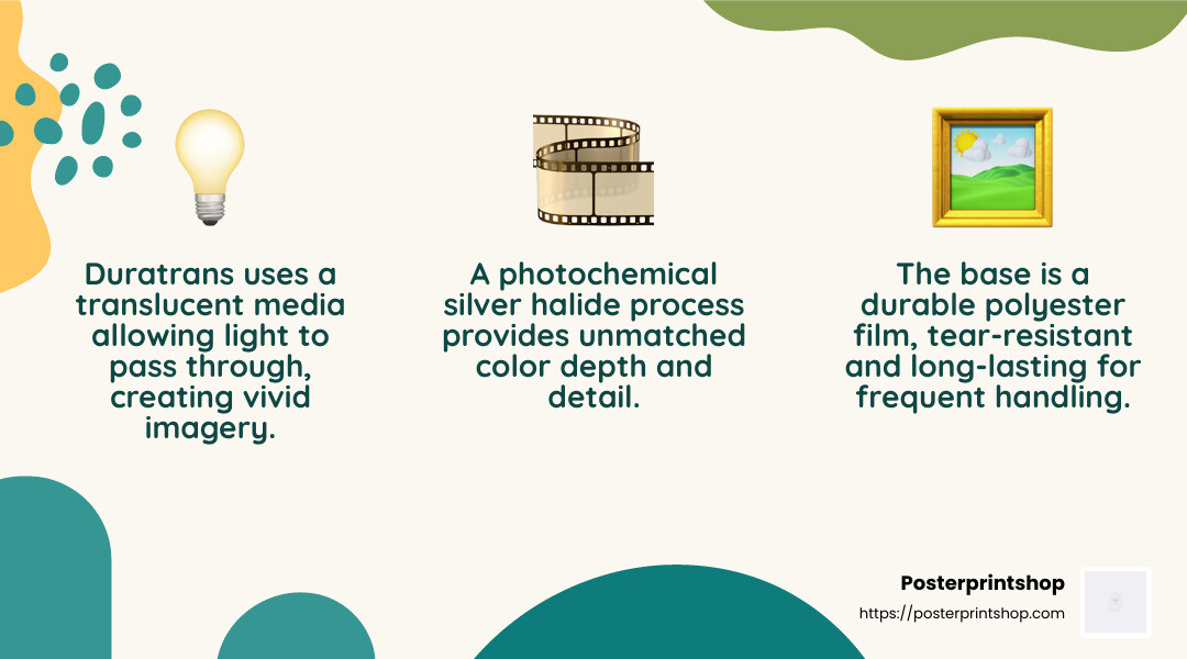 The silver halide process ensures best color depth and detail in Duratrans prints. - print duratrans infographic 3_facts_emoji_nature