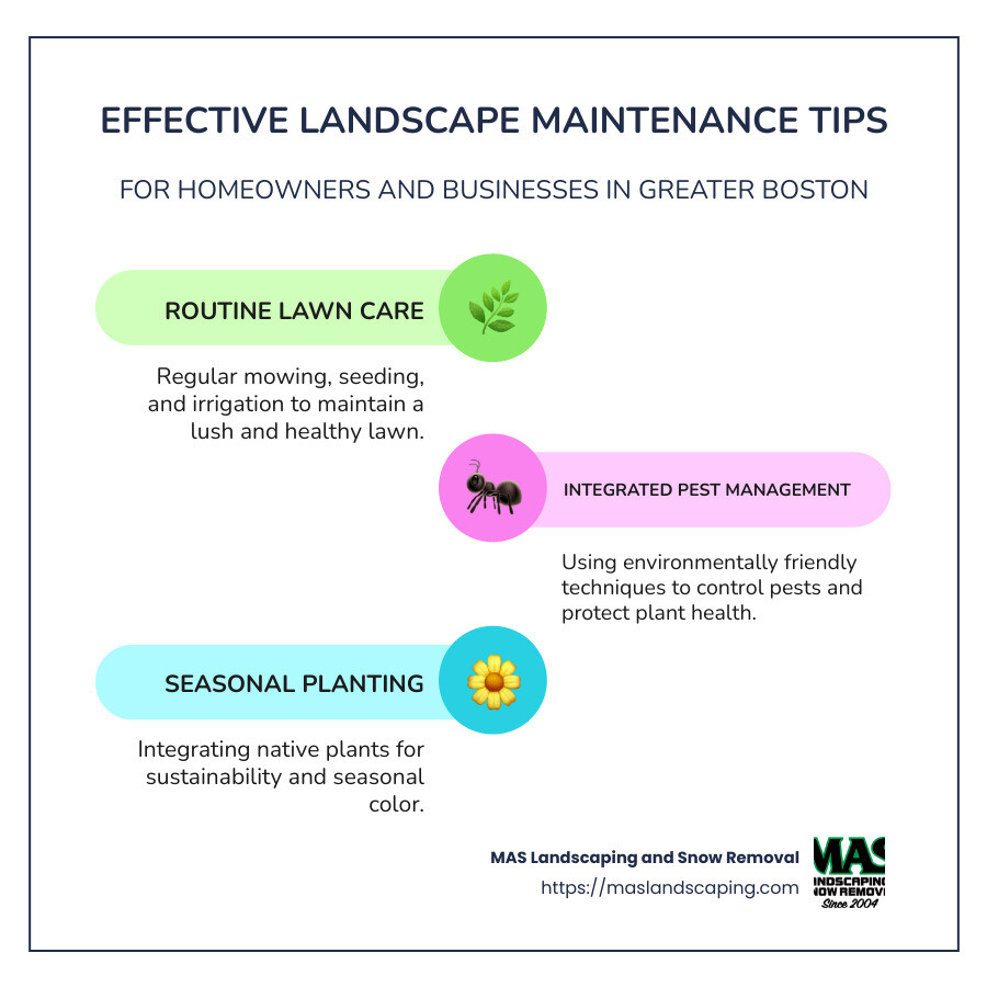 Effective landscape maintenance tips for homeowners and businesses in Greater Boston - landscape maintenance near me infographic infographic-line-3-steps-colors