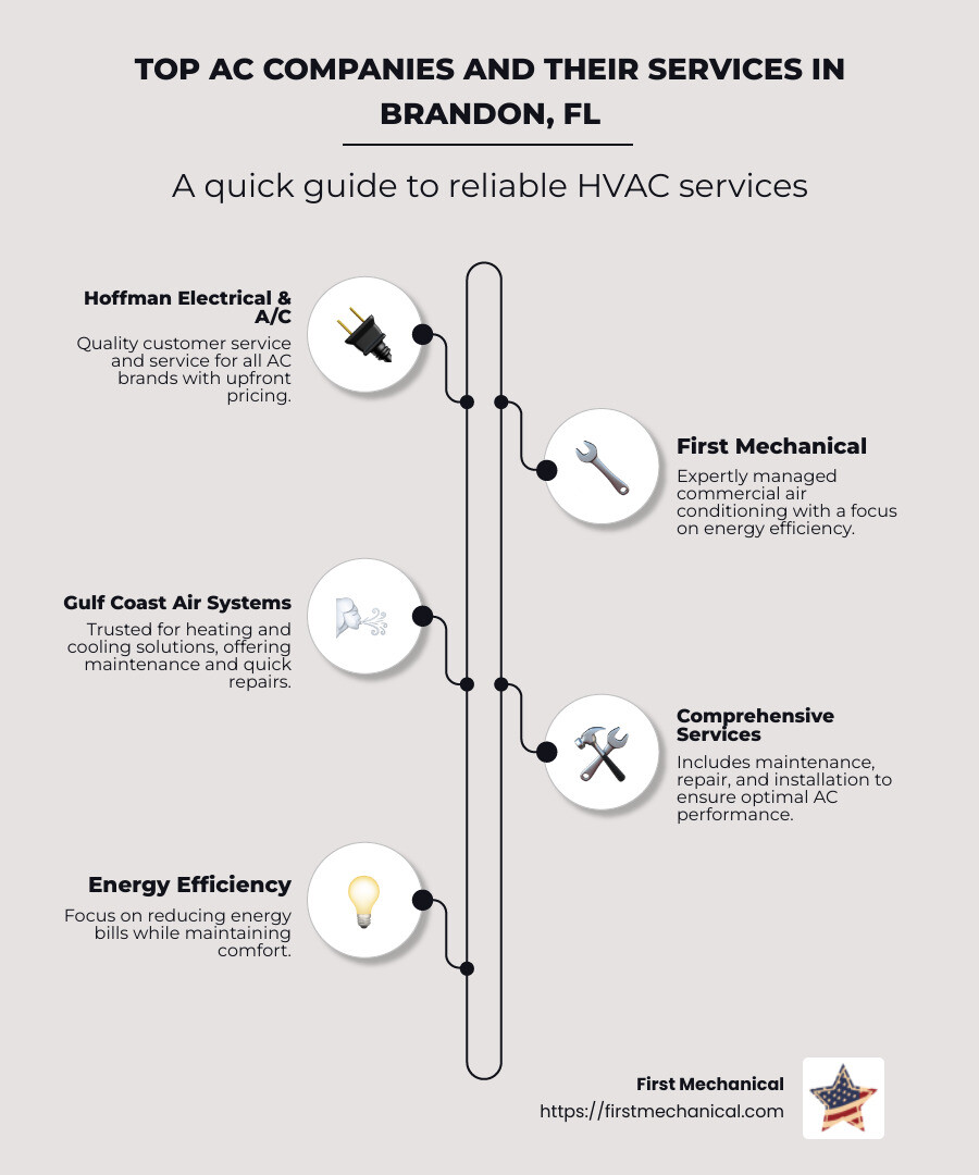 Infographic detailing top AC companies in Brandon FL with contact information and special services offered - ac companies in brandon fl infographic infographic-line-5-steps-neat_beige