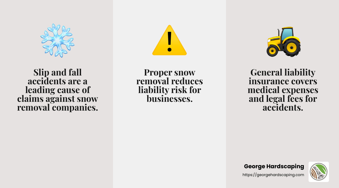 Slip and fall accidents are a leading cause of claims - commercial snow removal insurance infographic 3_facts_emoji_grey