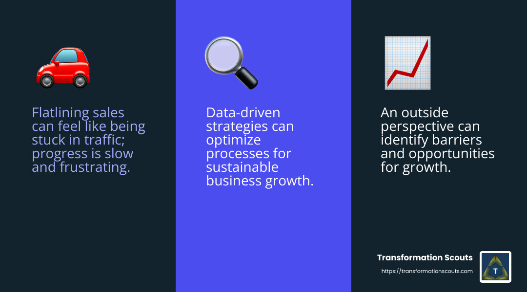 Outside perspective can reveal unseen opportunities and challenges. - business growth consulting infographic 3_facts_emoji_blue