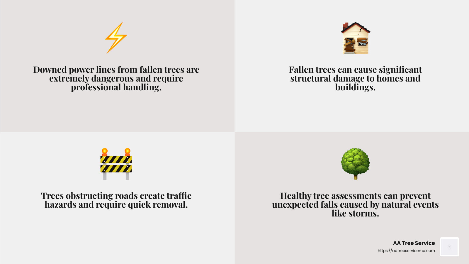 Downed tree safety hazards infographic - downed tree removal near me infographic 4_facts_emoji_grey