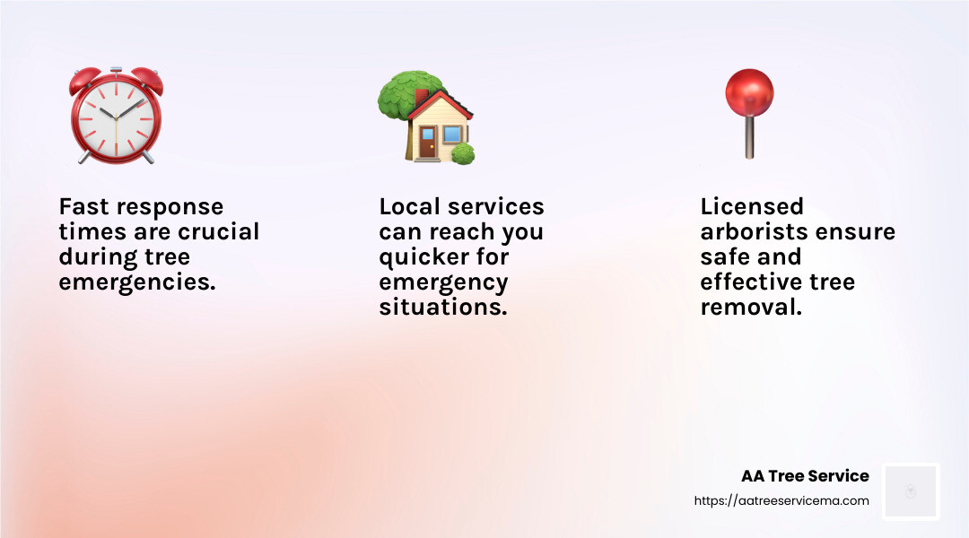 Fast response times ensure quick resolution of tree emergencies. - downed tree removal near me infographic 3_facts_emoji_light-gradient