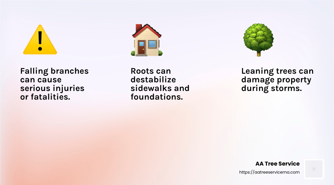 Safety Concerns in Emergency Tree Removal - emergency tree removal near me infographic 3_facts_emoji_light-gradient