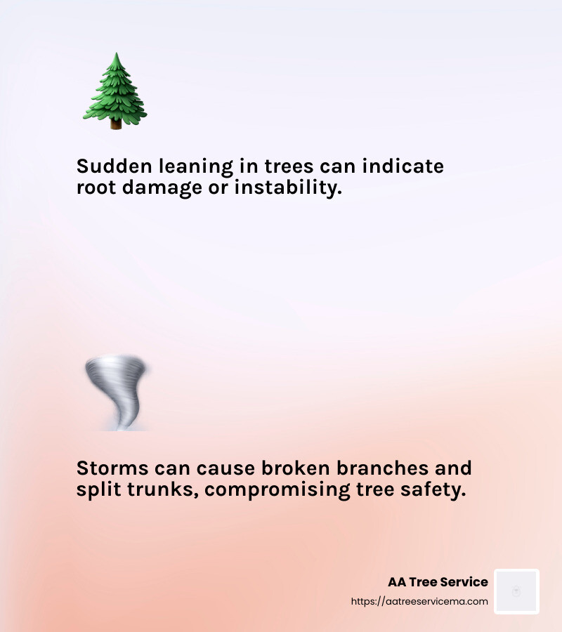 Storm Damage Can Lead to Emergency Tree Removal - emergency tree removal near me infographic 2_facts_emoji_light-gradient