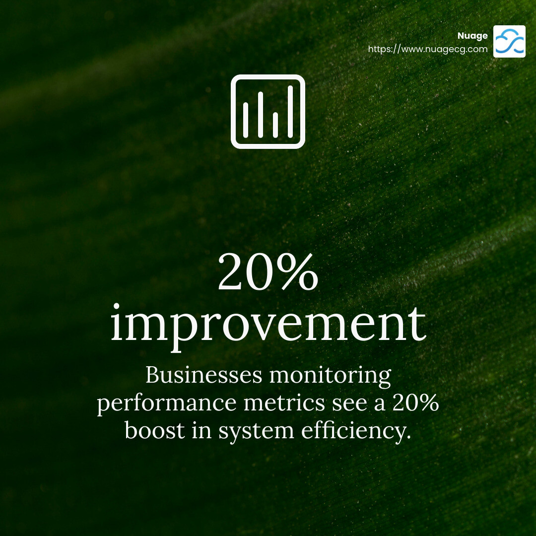 20% improvement in system efficiency - NetSuite software optimization infographic simple-stat-green