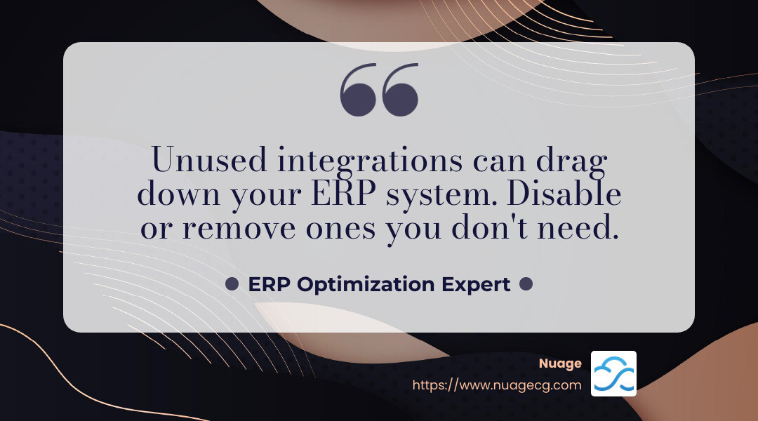 Quote on third-party integrations - NetSuite software optimization infographic simple-quote-landscape-dark