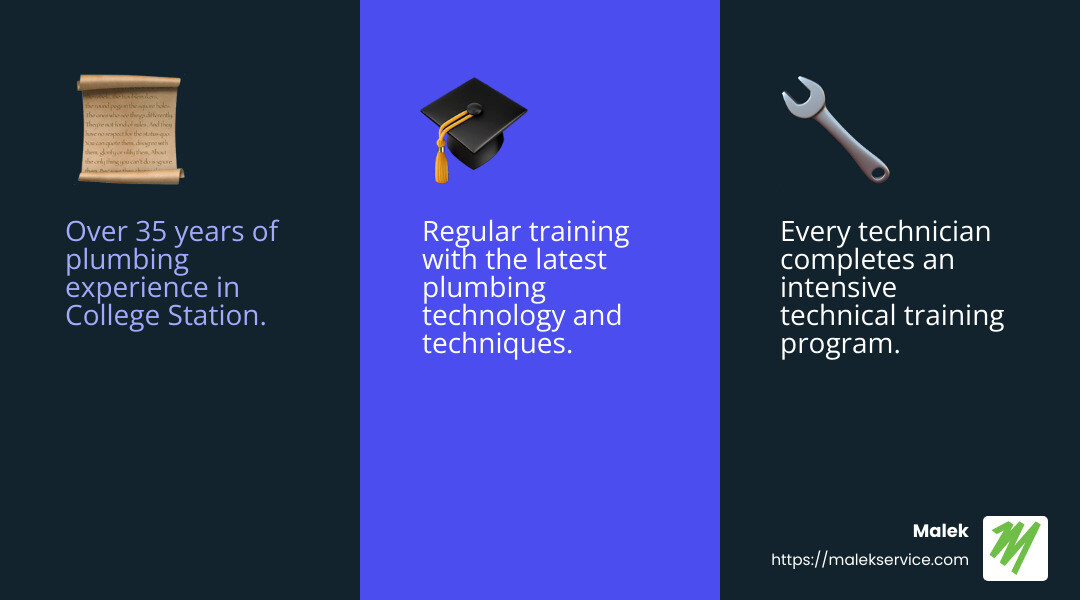 Training and Expertise Infographic - college station plumber infographic 3_facts_emoji_blue