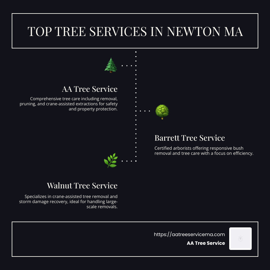 Infographic: Top Tree Service Providers in Newton MA - tree service newton ma infographic infographic-line-3-steps-dark