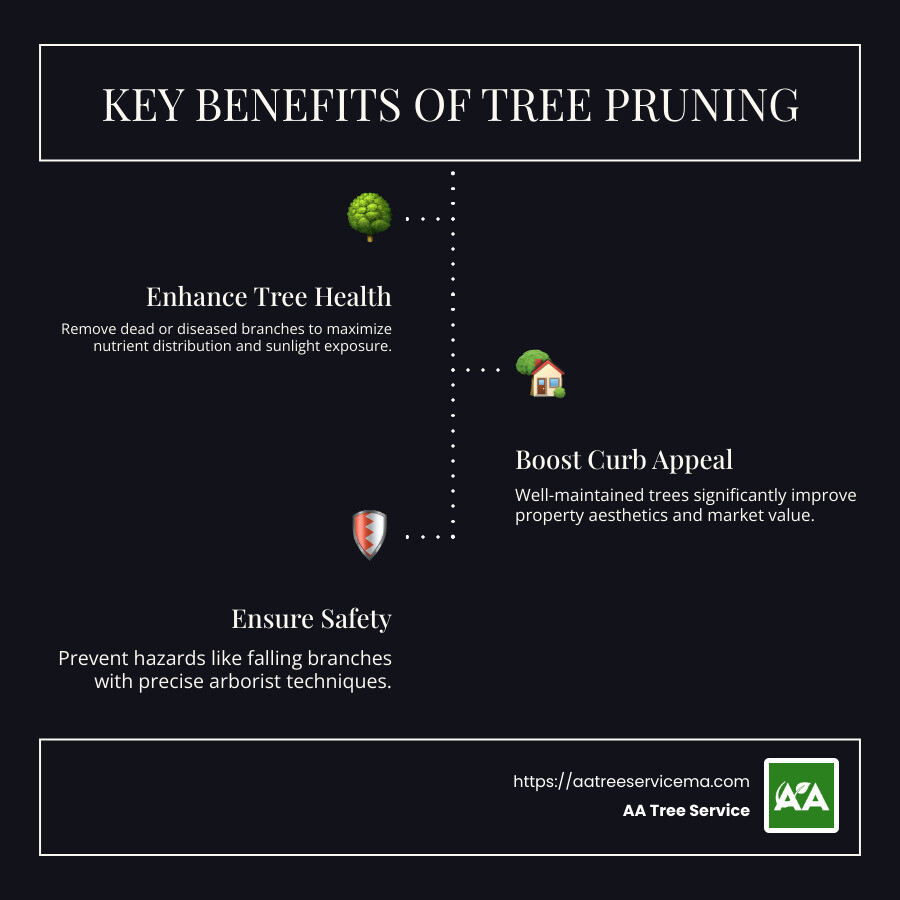 Benefits of Tree Pruning - tree pruning services infographic infographic-line-3-steps-dark