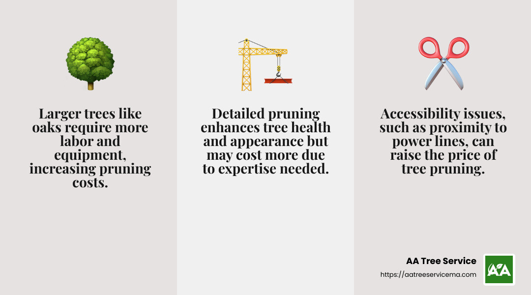 Detailed pruning improves tree health and appearance - tree pruning services infographic 3_facts_emoji_grey