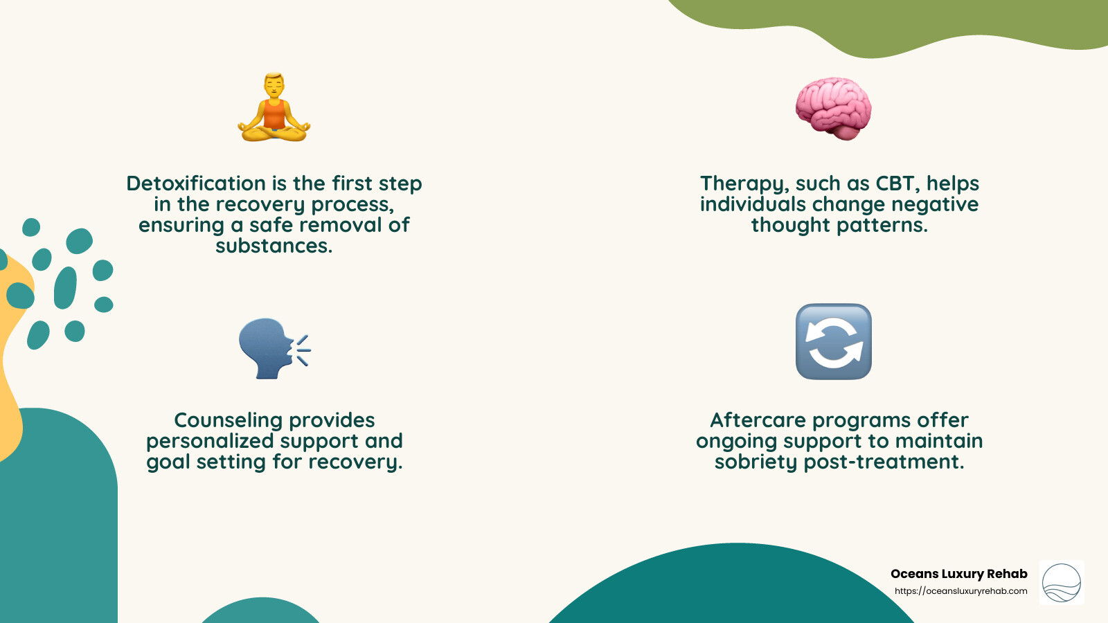Understanding the Recovery Process - Orange County recovery center infographic 4_facts_emoji_nature