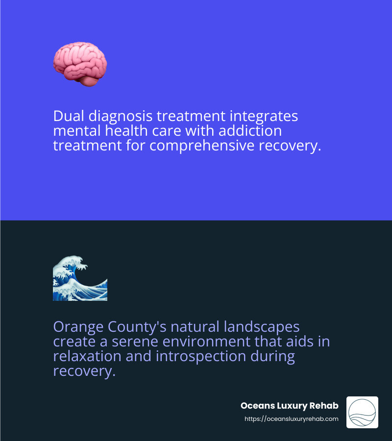 Orange County recovery centers offer dual diagnosis treatment, integrating mental health care with addiction treatment. - Orange County recovery center infographic 2_facts_emoji_blue