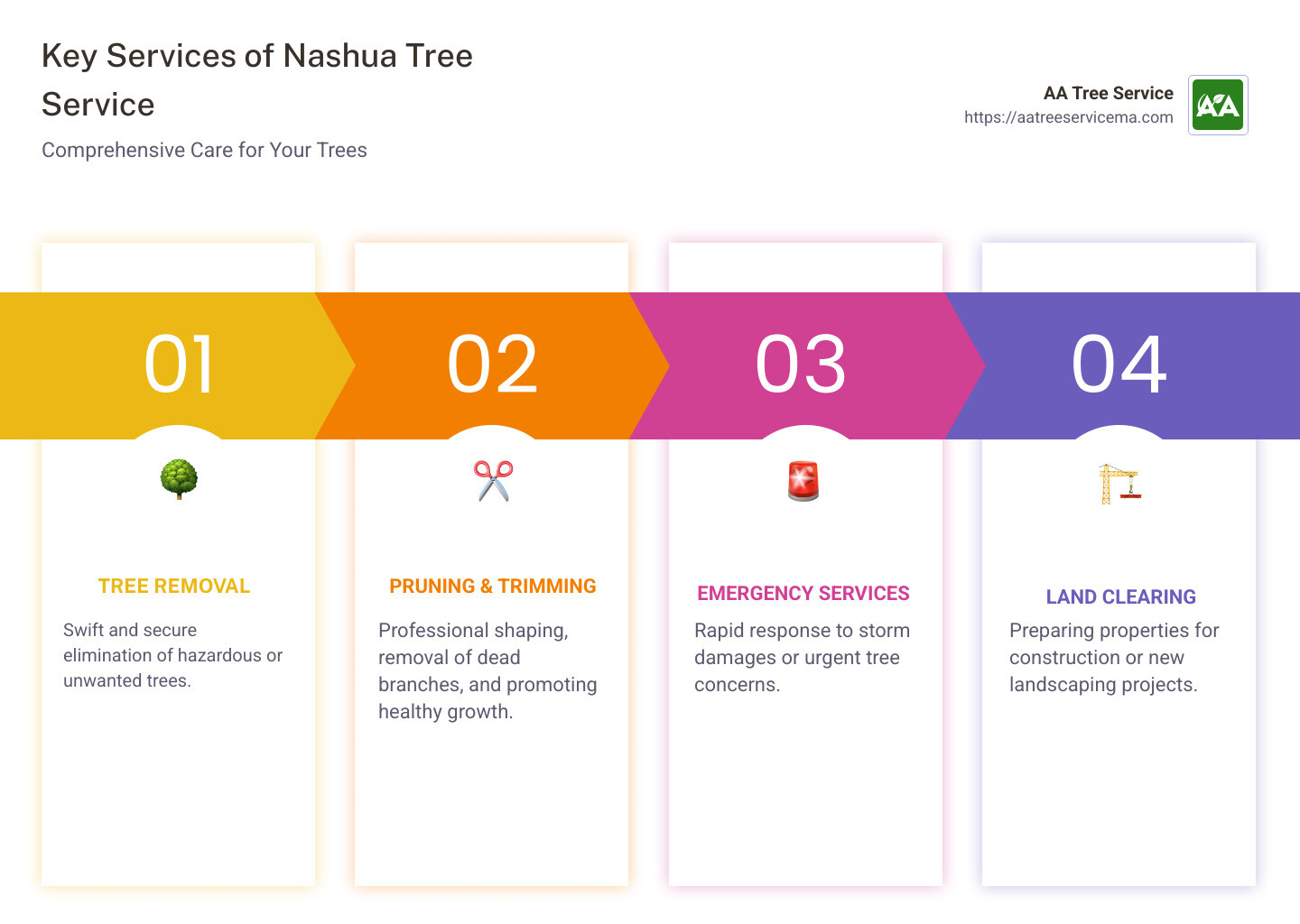 Benefits and Key Services of Nashua Tree Service - nashua tree service infographic pillar-4-steps