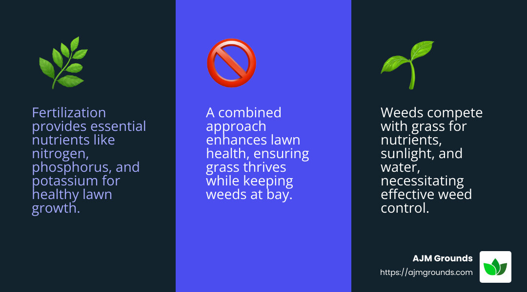 Weed prevention and nutrient replenishment - fertilization and weed care infographic 3_facts_emoji_blue