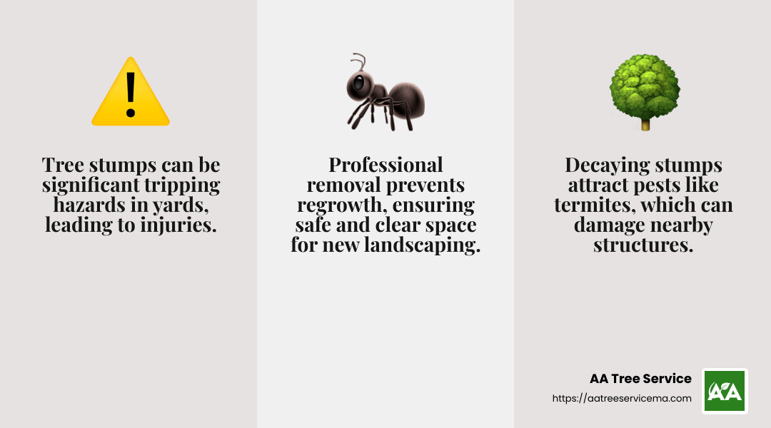 Safety Hazards of Tree Stumps - stump removal service infographic 3_facts_emoji_grey Safety Hazards of Tree Stumps - stump removal service infographic 3_facts_emoji_grey