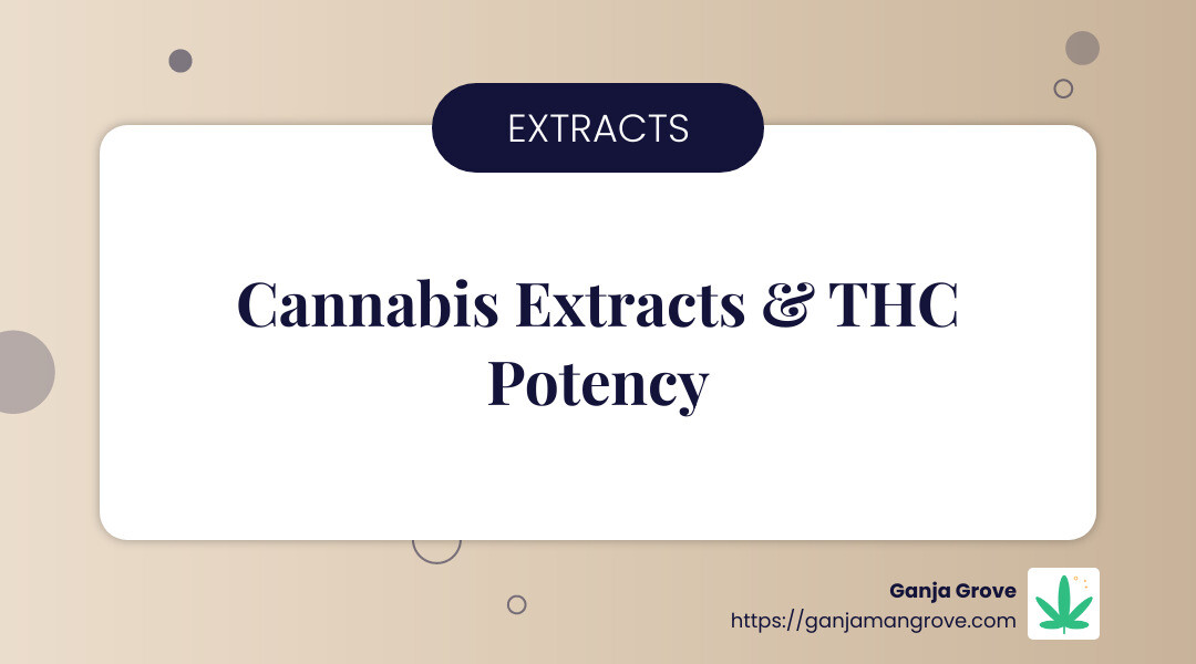 THC potency and cannabis extracts explained - bulk thc infographic simple-info-landscape-card