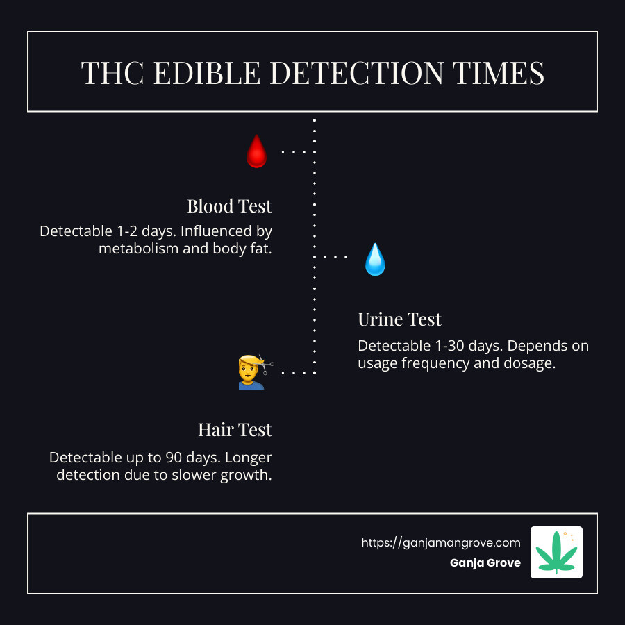 Infographic on THC Edible Detection Times and Factors - how long does a thc edible stay in your system infographic infographic-line-3-steps-dark Infographic on THC Edible Detection Times and Factors - how long does a thc edible stay in your system infographic infographic-line-3-steps-dark