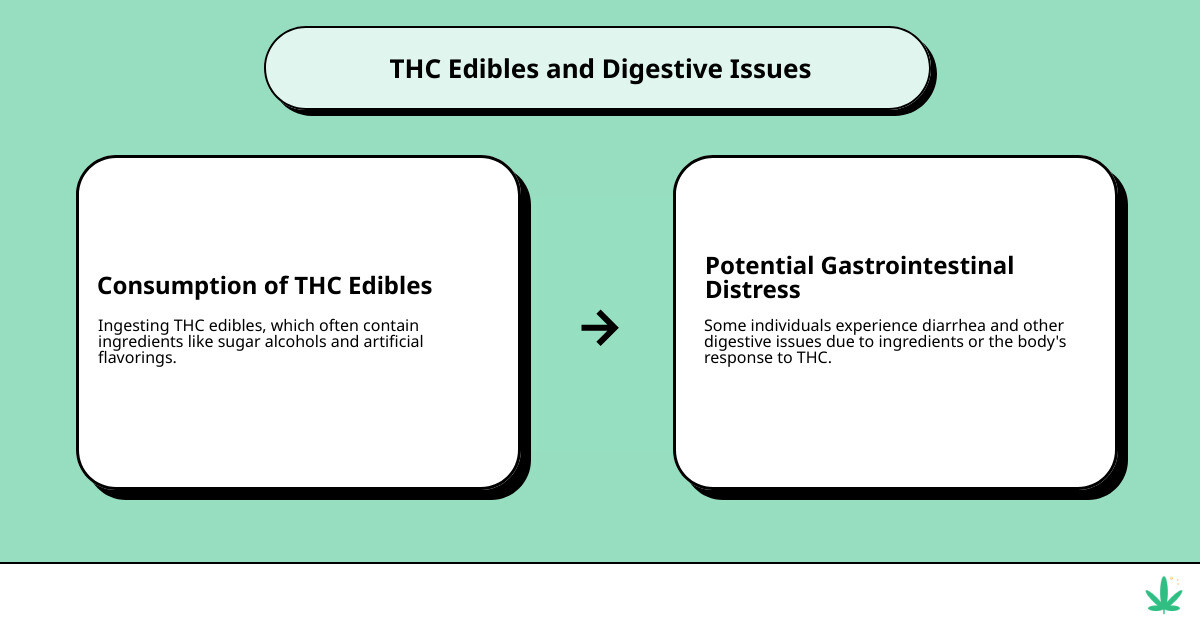 Overview of cannabis edibles and gastrointestinal issues - can thc edibles cause diarrhea infographic cause_effect_text Overview of cannabis edibles and gastrointestinal issues - can thc edibles cause diarrhea infographic cause_effect_text