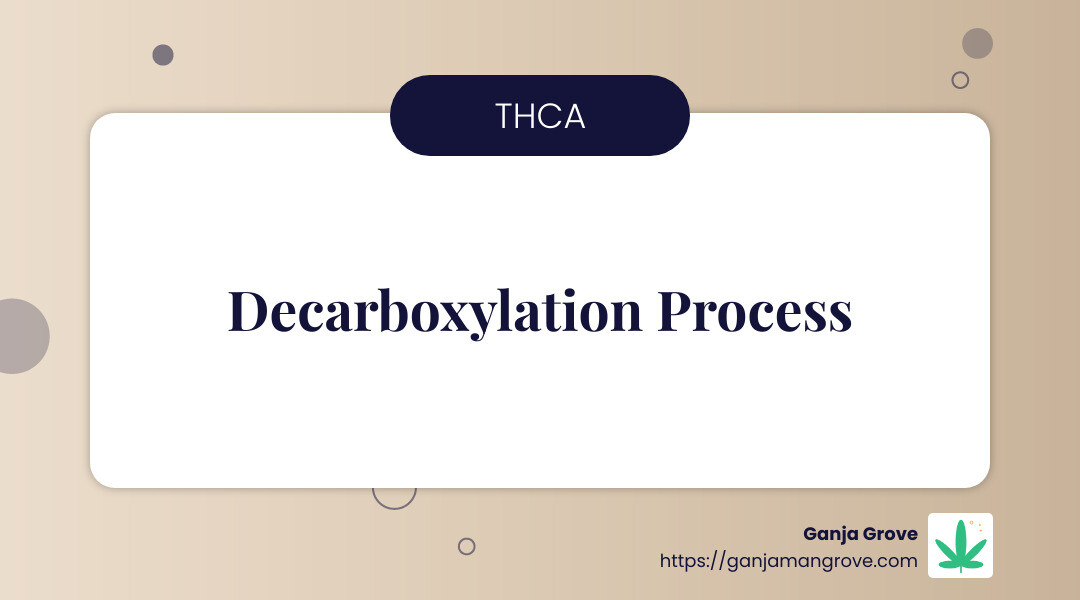 Decarboxylation infographic - how potent is thca infographic simple-info-landscape-card