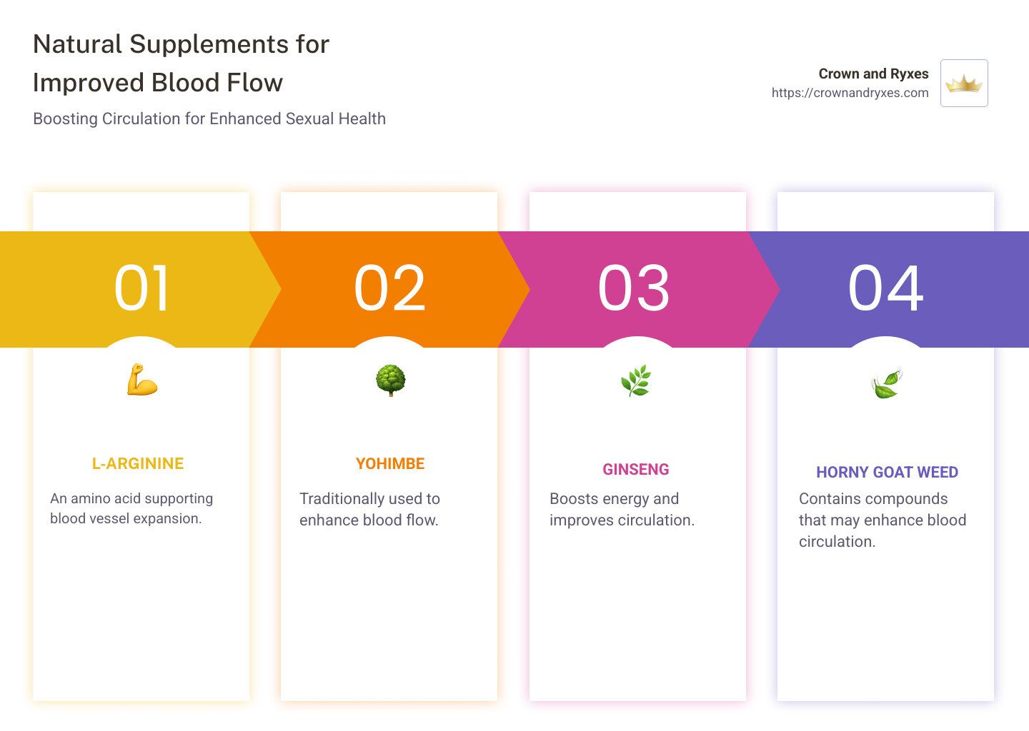 Supplements for Improving Blood Flow | Infographic showing L-arginine, Yohimbe, Ginseng, and Horny Goat Weed - supplements to increase blood flow to pennis naturally infographic pillar-4-steps