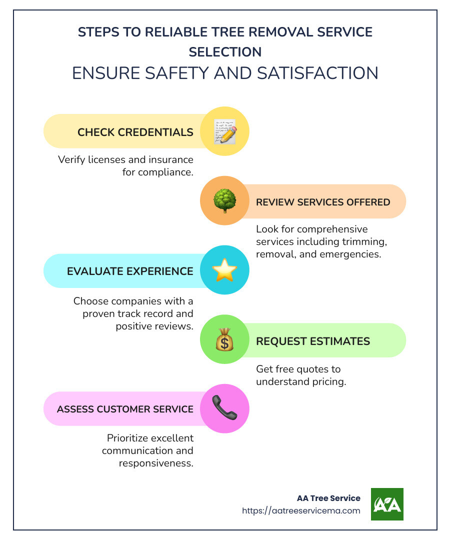 Illustration of tree services in action with annotated points on benefits like safety and aesthetics - tree removal service manchester nh infographic infographic-line-5-steps-colors